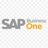 png-clipart-sap-business-one-sap-hana-sap-business-bydesign-computer-software-business-text-people-thumbnail