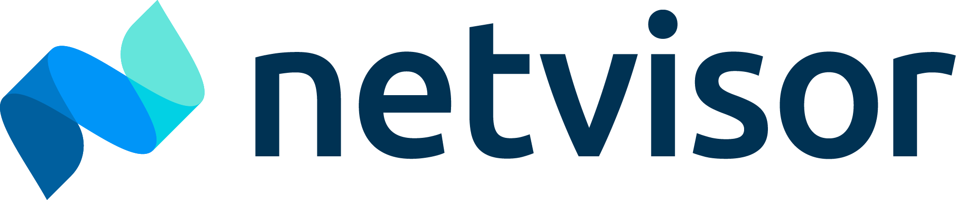 netvisor_primary-logo